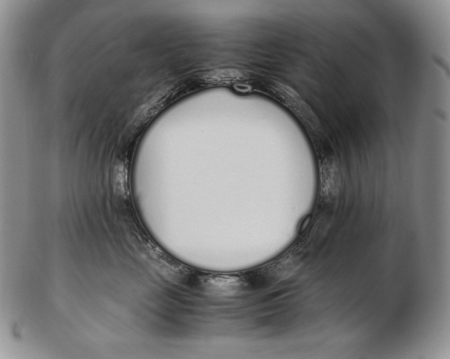 X0000102370669200808221740