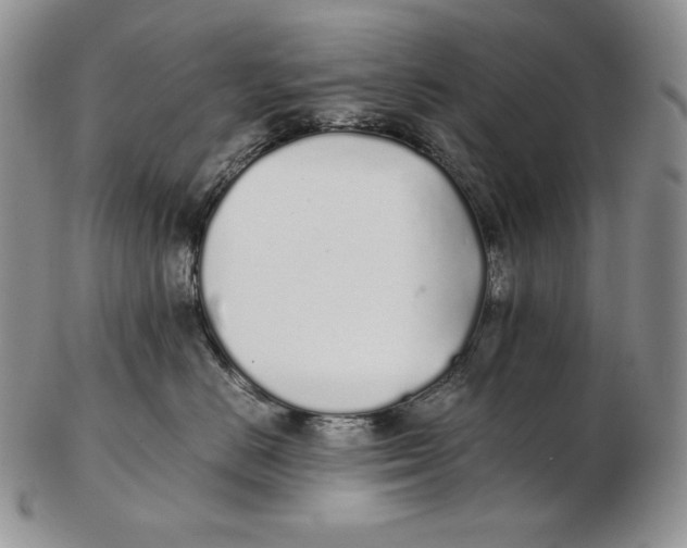 X0000102370670200808221740