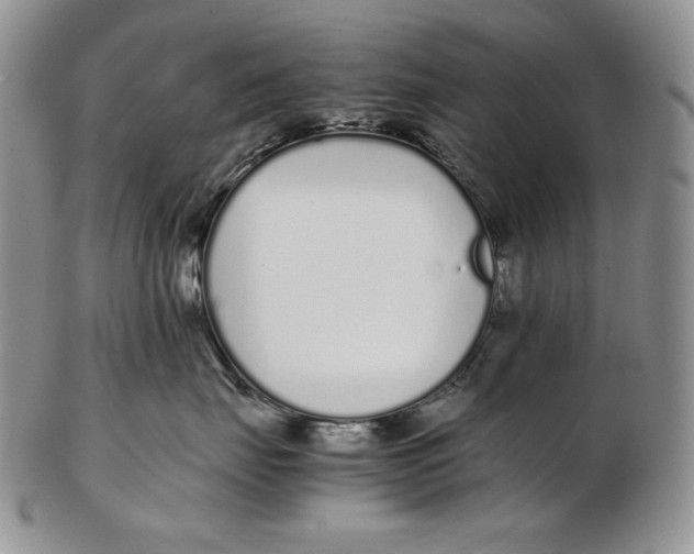 X0000102370671200808221740