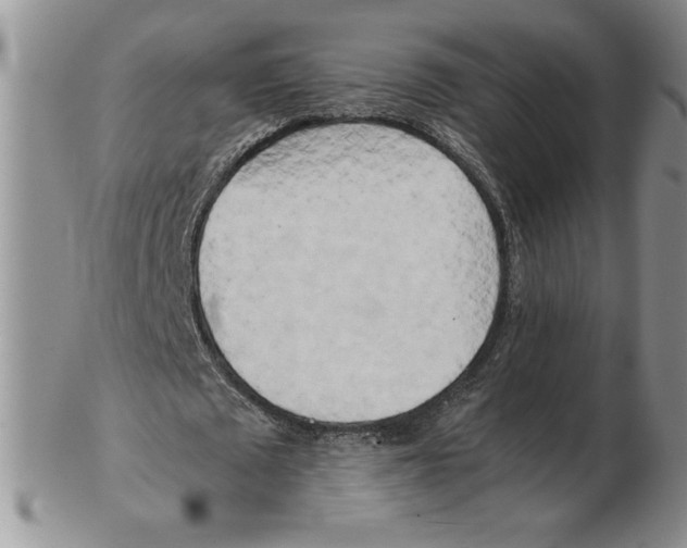 X0000102370673200808221740