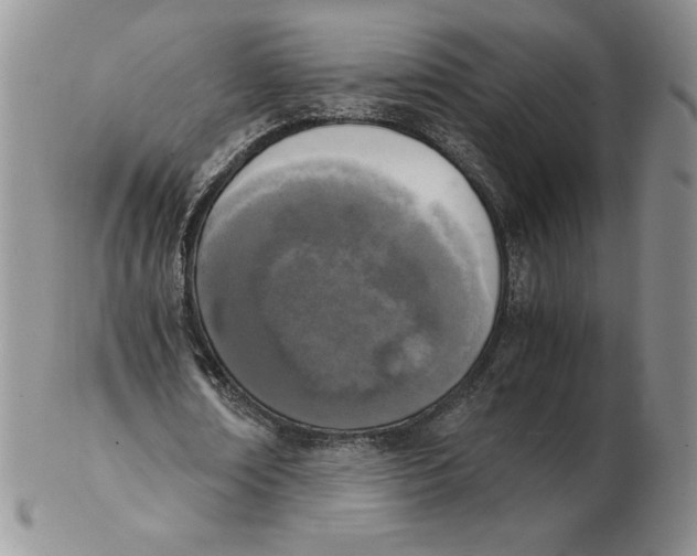 X0000102370674200808221740