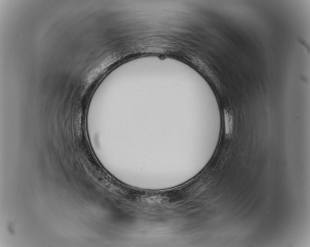 X0000102370675200808221740