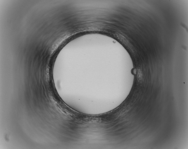 X0000102370676200808221740