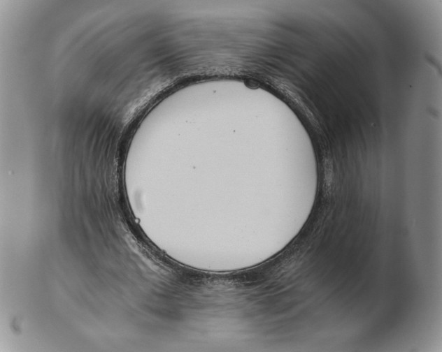 X0000102370677200808221739