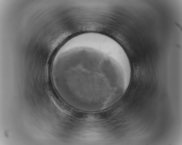 X0000102370678200808221739