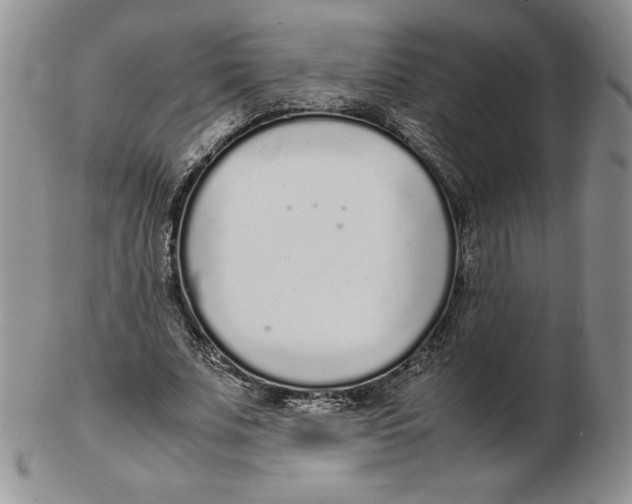 X0000102370679200808221739