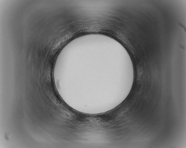 X0000102370681200808221739