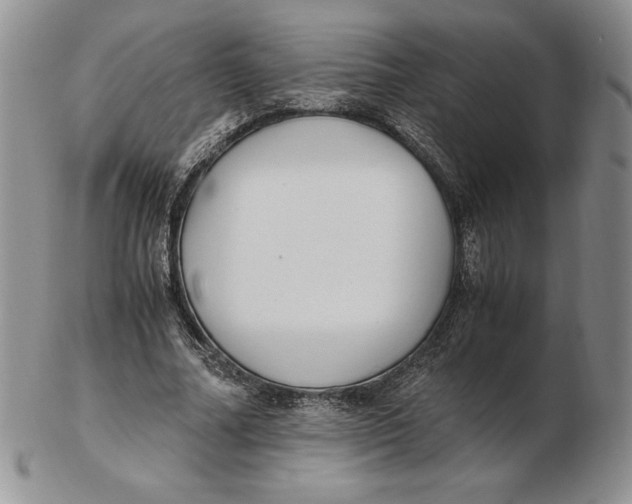 X0000102370682200808221739