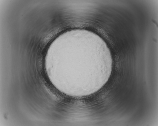 X0000102370683200808221739