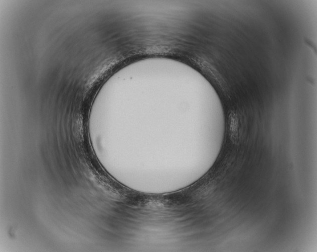 X0000102370684200808221739