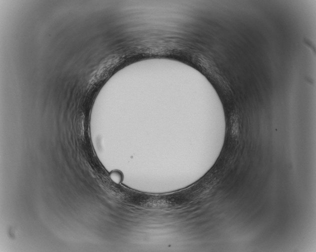 X0000102370685200808221739