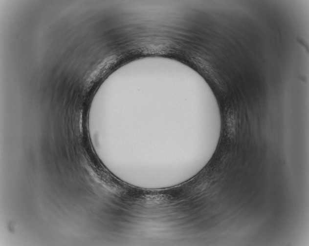 X0000102370686200808221739