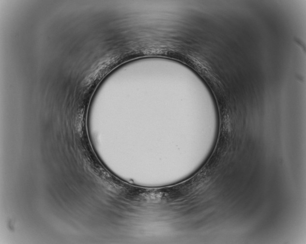 X0000102370687200808221739