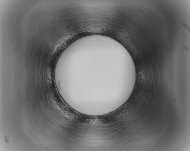 X0000102370688200808221739