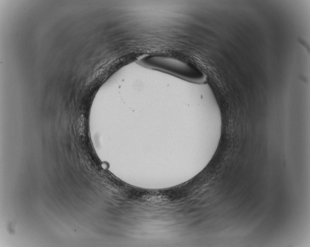 X0000102370689200808221739