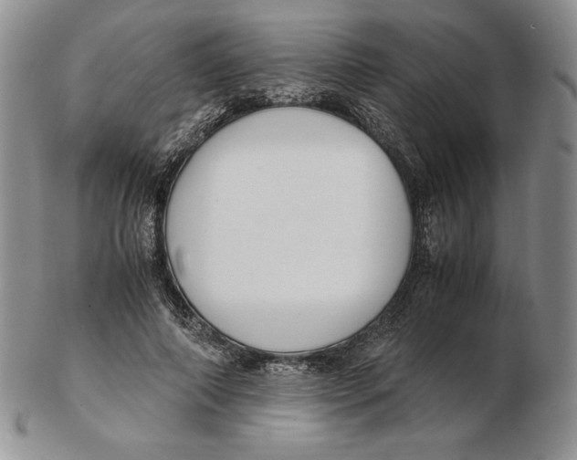 X0000102370690200808221739