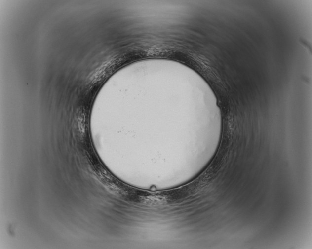 X0000102370691200808221739