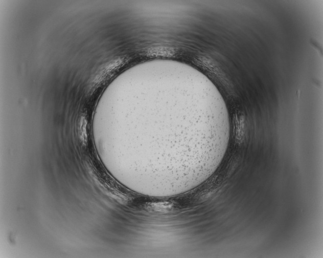 X0000102370692200808221739