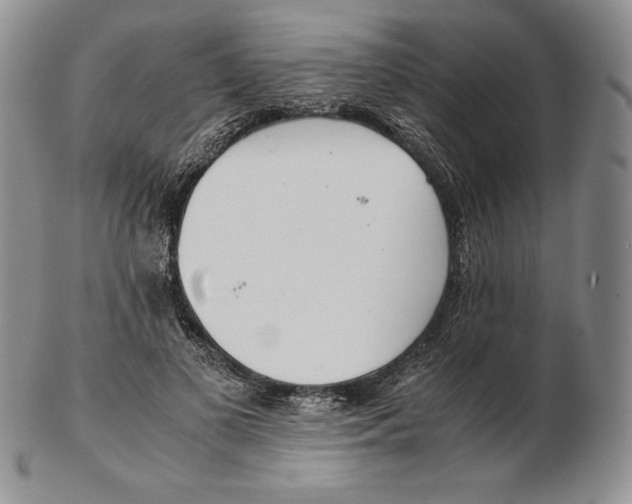 X0000102370693200808221739