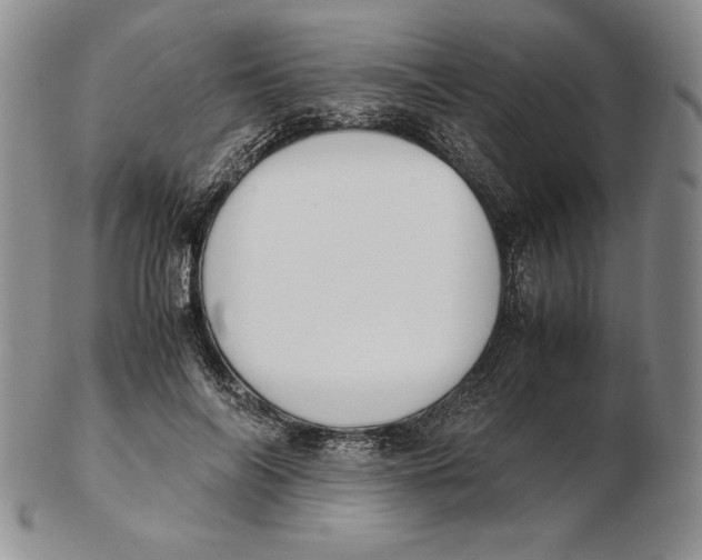 X0000102370694200808221739