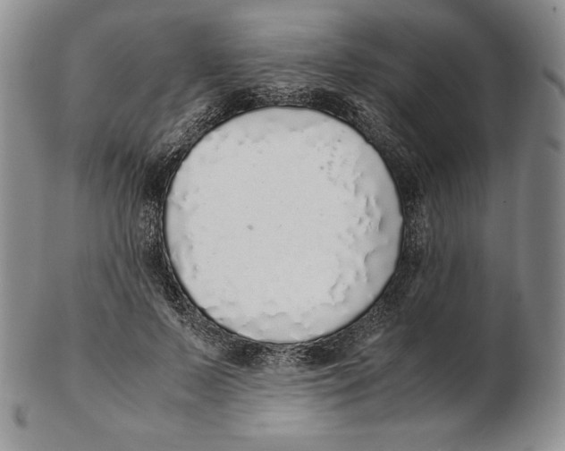 X0000102370695200808221739