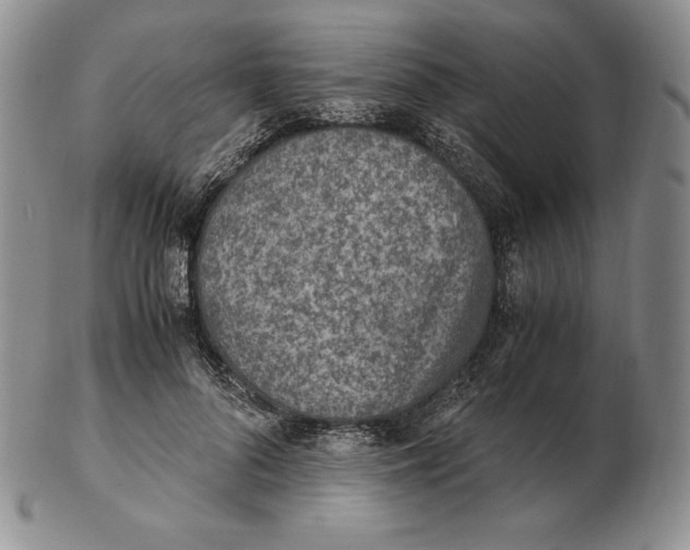 X0000102370696200808221739