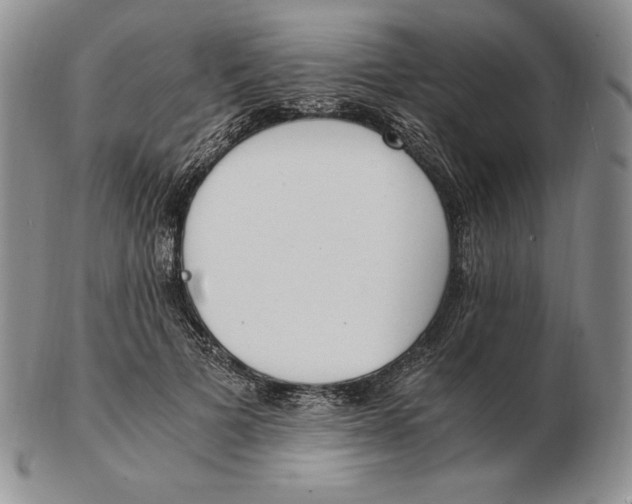 X0000102370697200808221739