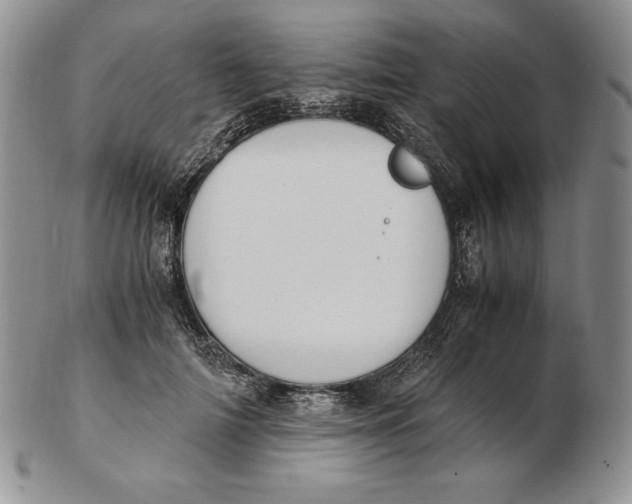 X0000102370698200808221739