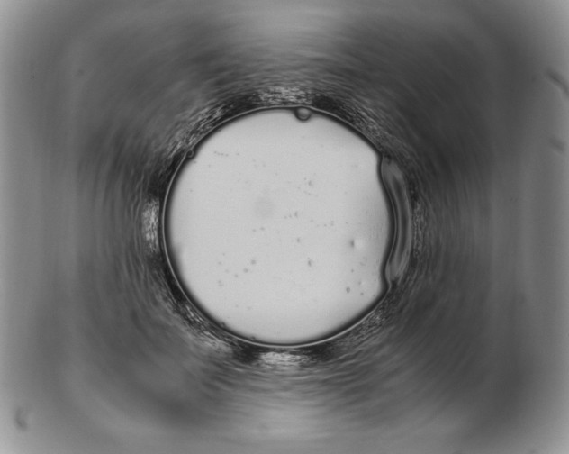 X0000102370699200808221739