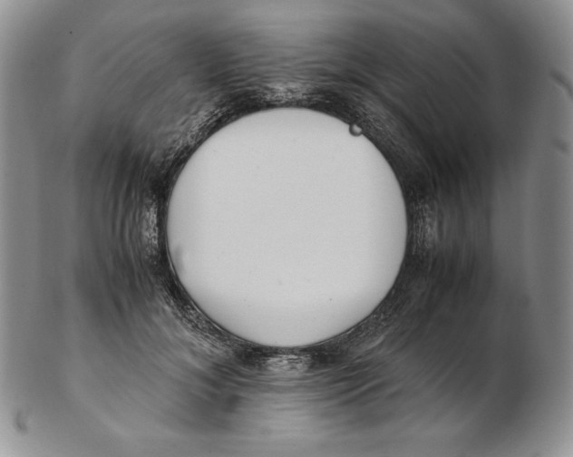 X0000102370700200808221739