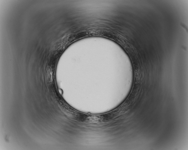 X0000102370703200808221739