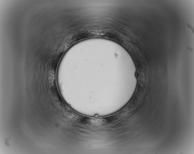 X0000102370707200808221739