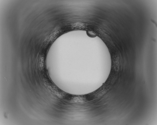 X0000102370708200808221739