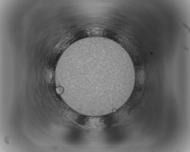 X0000102370709200808221739