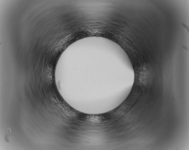 X0000102370710200808221739