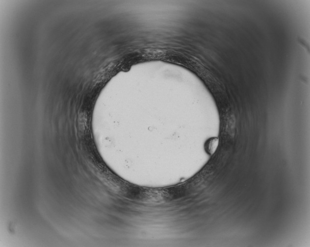 X0000102370711200808221739