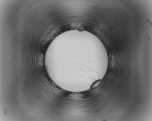 X0000102370712200808221739