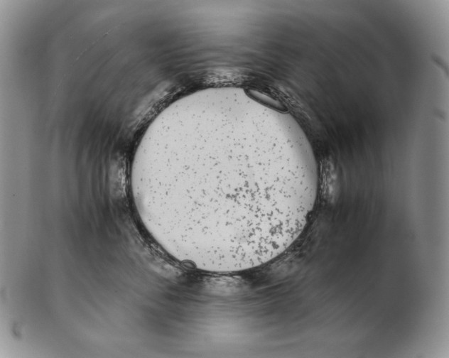 X0000102370716200808221739