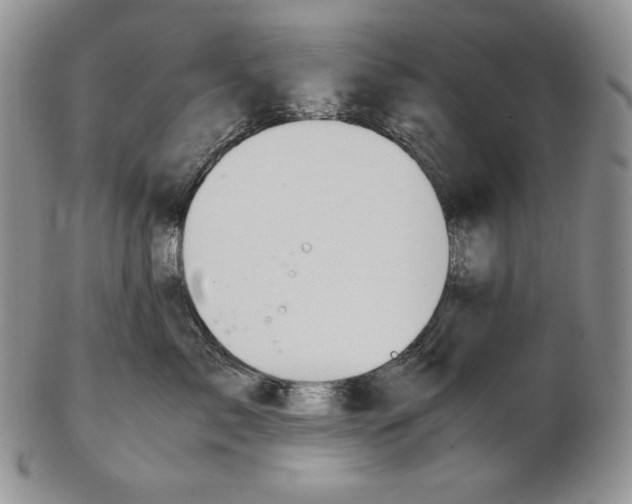 X0000102370717200808221739