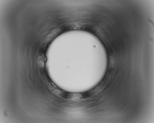 X0000102370719200808221739