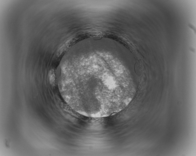 X0000102370720200808221739