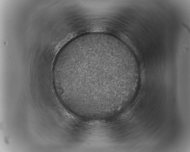 X0000102370721200808221738