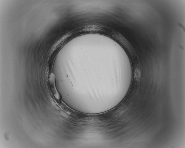 X0000102370724200808221738