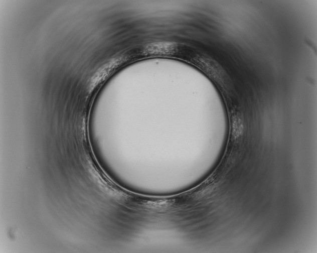 X0000102370725200808221738