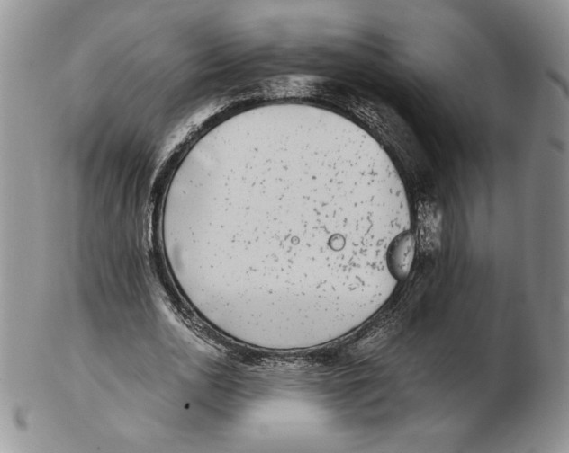 X0000102370726200808221738