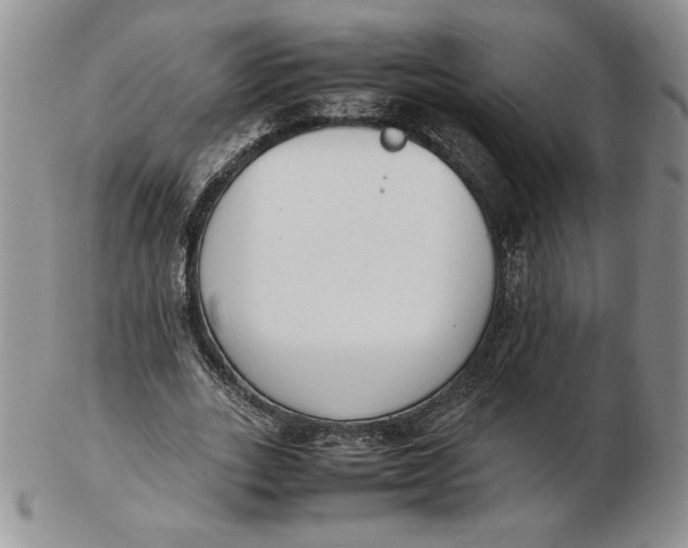 X0000102370727200808221738