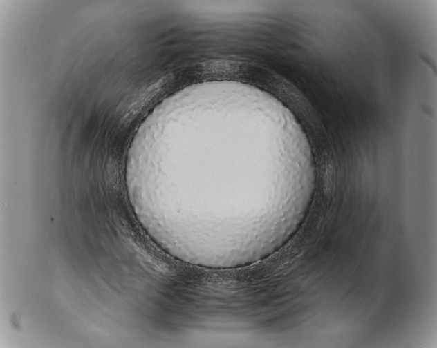 X0000102370729200808221738