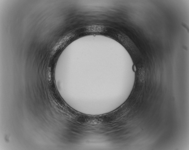 X0000102370731200808221738