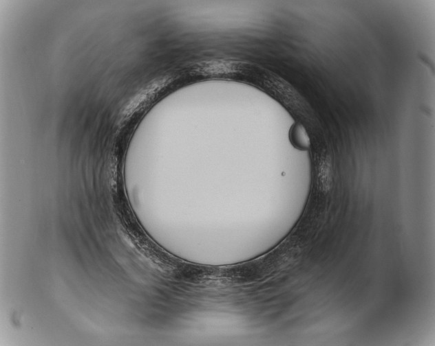 X0000102370732200808221738