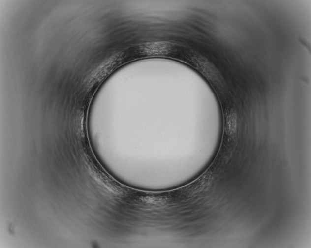 X0000102370733200808221738